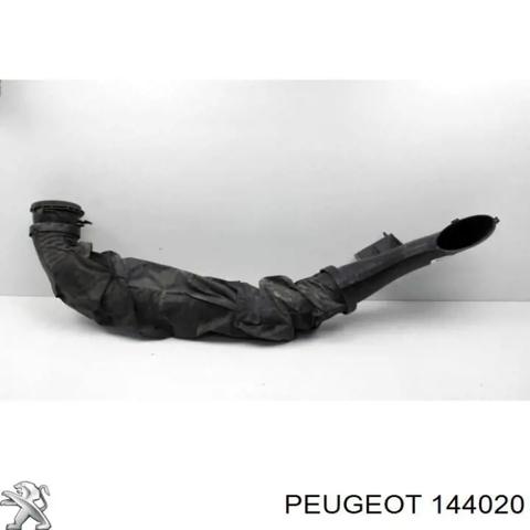144020 Peugeot/Citroen