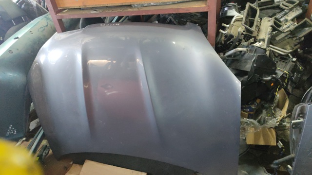 Капот двигателя F5100BR0MA NISSAN