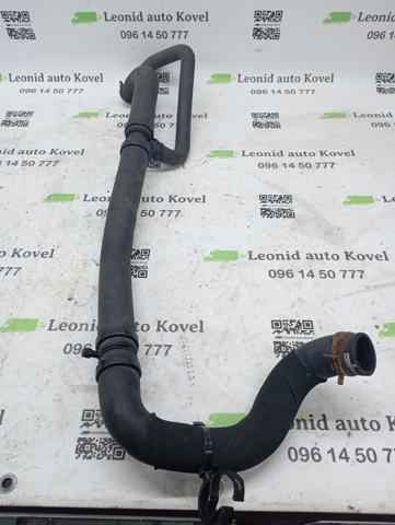 215011766R RENAULT Патрубок радиатора купить в Ровно