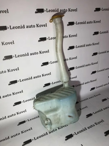 RENAULT 289100030R Бачок омывателя в наличии Украина