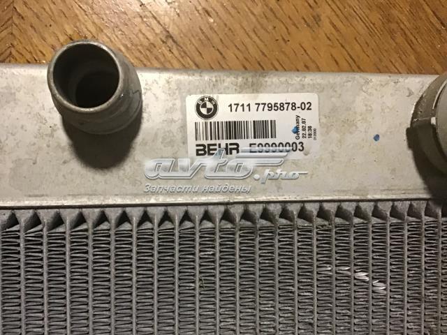 Радиатор охлаждения двигателя 17117795878