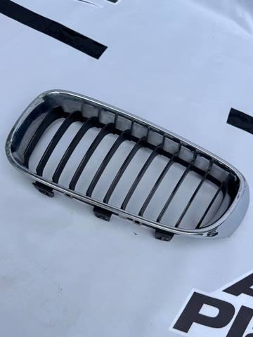 Решетка радиатора 7294805 BMW