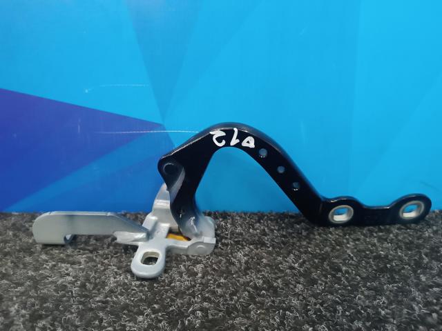 Петля двери задней (багажной 3/5-й) 41007494943 BMW