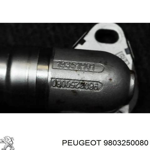 Патрубок системы рециркуляции отработавших газов 9803250080 PEUGEOT