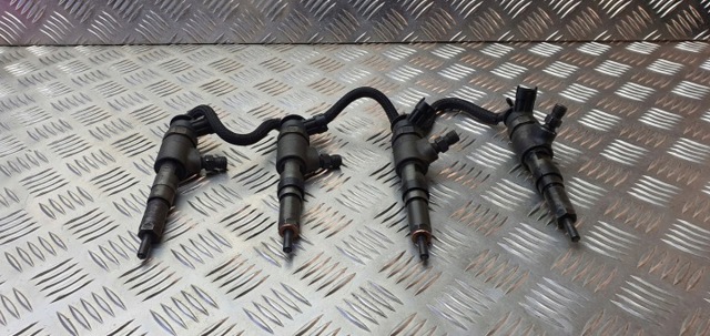 Форсунки 0445110135 PEUGEOT