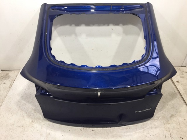 Пятая дверь 1493410E0A TESLA