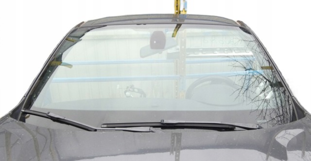 Окно ветровое 51312990021 BMW