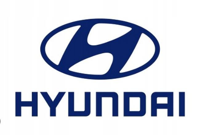 Стекло передней двери, правой 824202E000 HYUNDAI