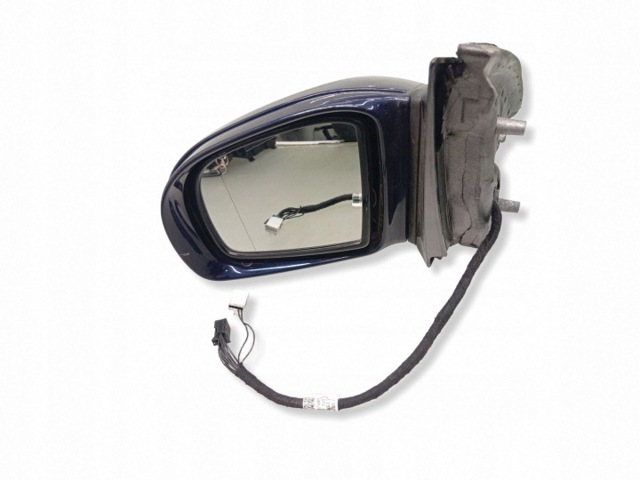 A2518100793 Mercedes