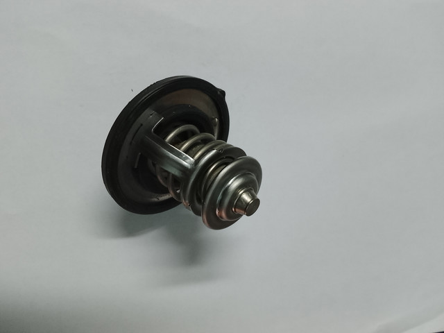 255002B000 Термостат купить Каменское