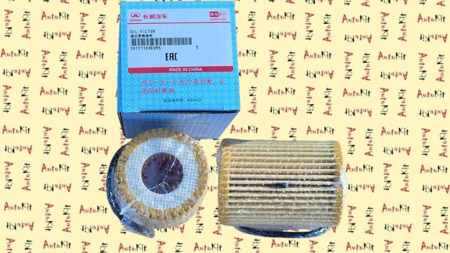 1017110XED95 GREAT WALL купить в Черновцы