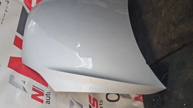 Tesla Model 1038384S0C Капот в наличии Киев