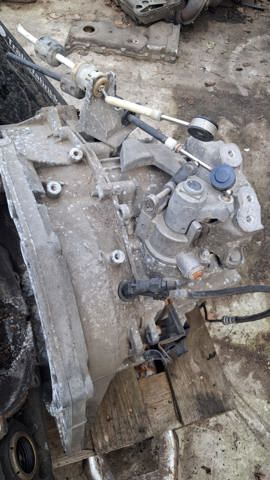 55564375 OPEL купить в Харьков