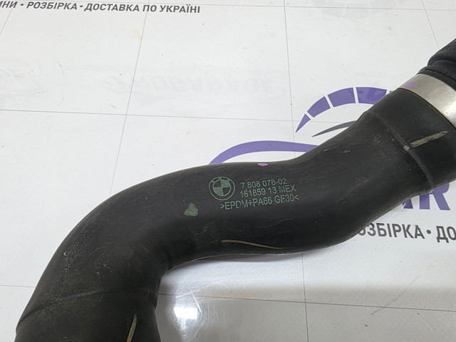 17127808078 BMW Шланг (патрубок) радиатора охлаждения нижний купить в Украина