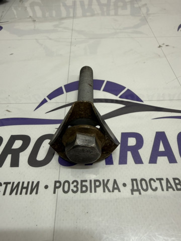 Болт крепления заднего нижнего рычага, внешний 33306793891 BMW