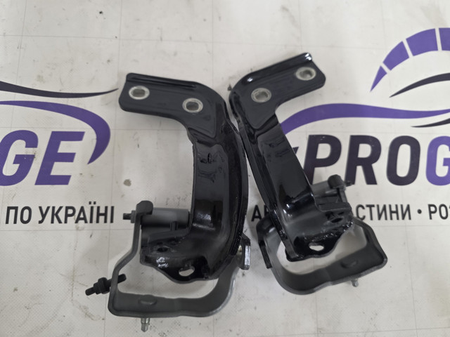 8R0827300A VAG Петля двери задней (багажной 3/5-й) купить в Черкассы