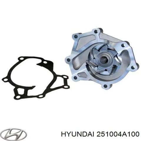 HYUNDAI 251004A100 Помпа в наличии Каменское