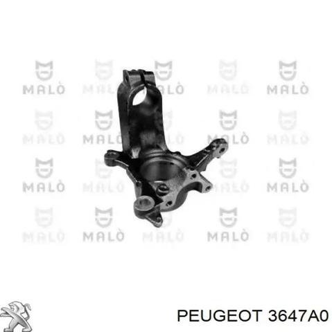 Цапфа (поворотный кулак) передний правый 3647A0 PEUGEOT
