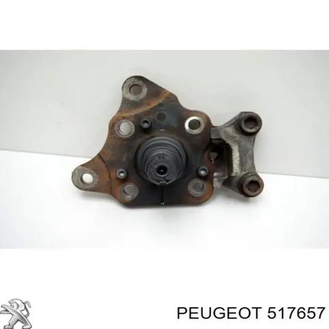 Цапфа поворотного кулака 517657 PEUGEOT