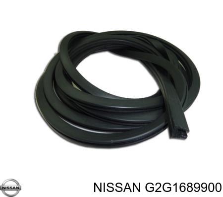 G2G1689900 NISSAN Уплотнитель лобового стекла купить в Тернополь