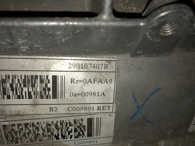 RENAULT 290107407R в наличии Ирпень