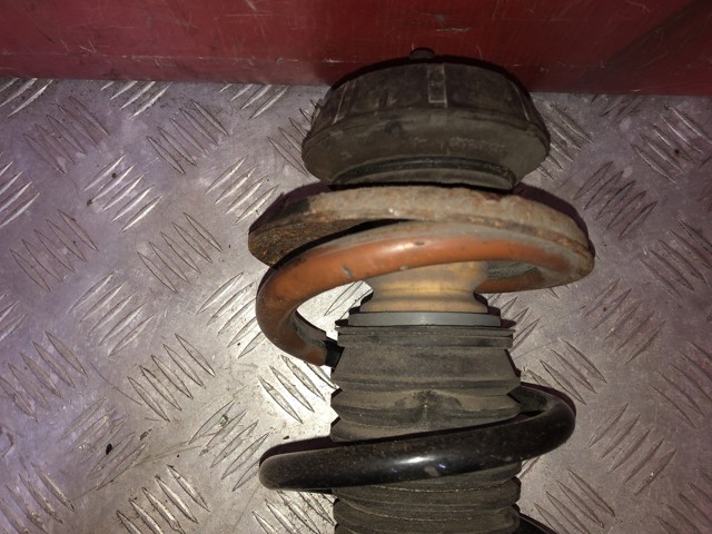 543020964R RENAULT Амортизатор передний купить в Ужгород
