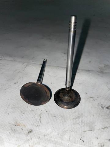 11348605662 BMW Впускной клапан купить в Павлоград