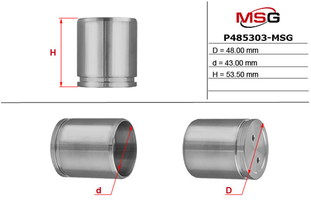 MS GROUP P485303MSG Поршень суппорта тормозного заднего в наличии Павлоград
