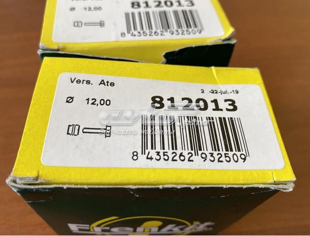 812013 FRENKIT Направляющая суппорта переднего купить в Львов