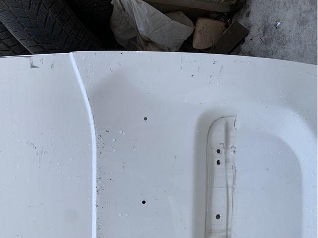 RENAULT 901006293R Дверь фургона задняя распашная правая в наличии Львов