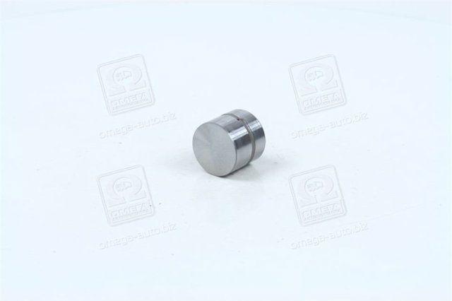 HYUNDAI 2223137100 Гидрокомпенсатор (гидротолкатель), толкатель клапанов в наличии Запорожье