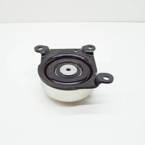 FORD 2435473 Паразитный ролик в наличии Житомир