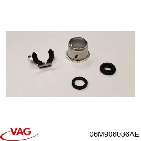 Форсунка дизельная в сборе 06M906036AE VAG