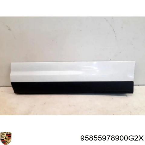 Молдинг задней левой двери, нижний 95855978900G2X PORSCHE