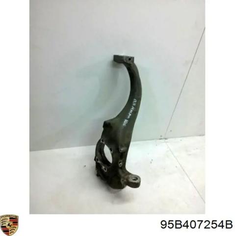 Цапфа поворотного кулака 95B407254B PORSCHE