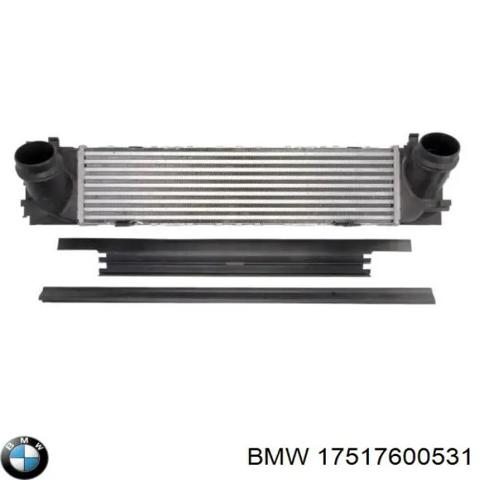 BMW 17517600531 Радиатор интеркуллера в наличии Львов