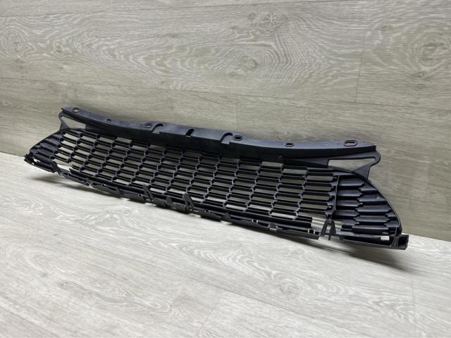 51110442012 BMW Решетка радиатора купить в Полтава