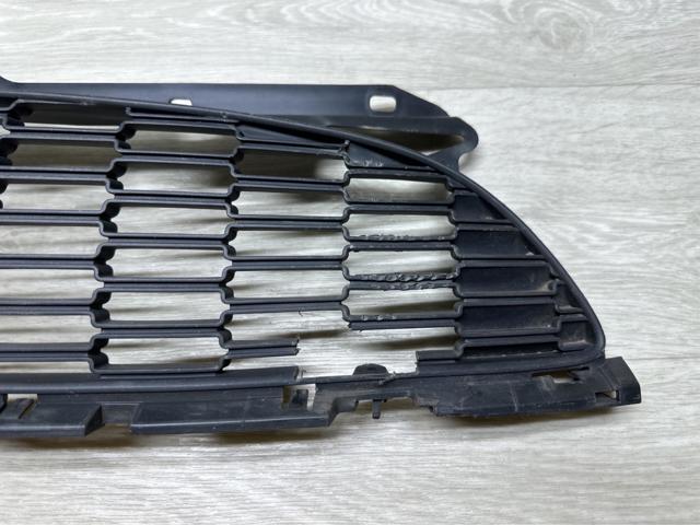 BMW 51110442012 Решетка радиатора в наличии Ужгород