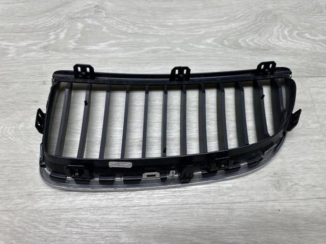 7120008 BMW Решетка радиатора правая купить в Черновцы