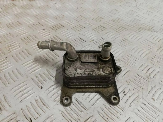 RENAULT 213053566R Масляный радиатор в наличии Хмельницкий