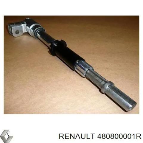 480800001R RENAULT Вал рулевой колонки купить в Николаев