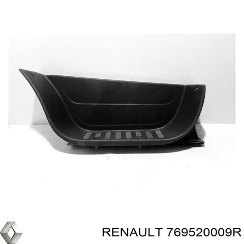 RENAULT 769520009R Накладка подножки в наличии Днепр