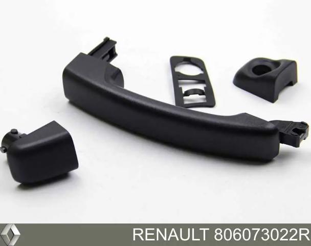 RENAULT 806073022R Ручка двери передней наружная в наличии Ужгород