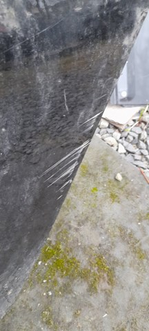 6700402380 Дверь задняя левая купить Винница