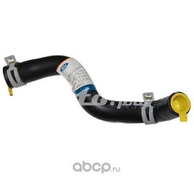 1317039 Шланг ГУР низкого давления, от бачка к насосу купить Одесса