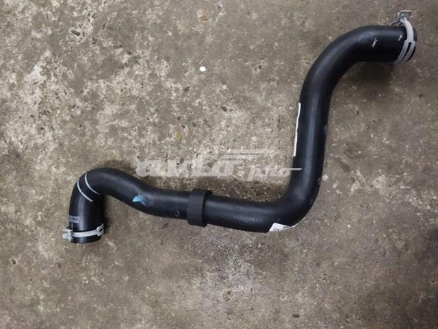FORD 3M5H8260BK Патрубок радиатора в наличии Запорожье