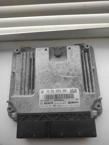 55593981 Opel