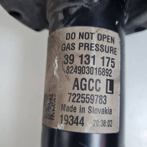 OPEL 39131175 в наличии Львов