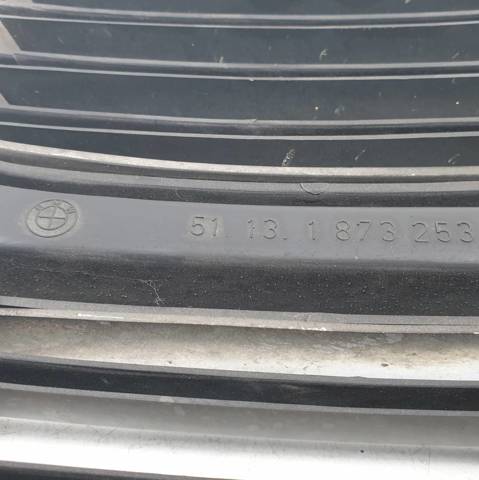 51131873253 BMW Решетка бампера переднего центральная купить в Харьков