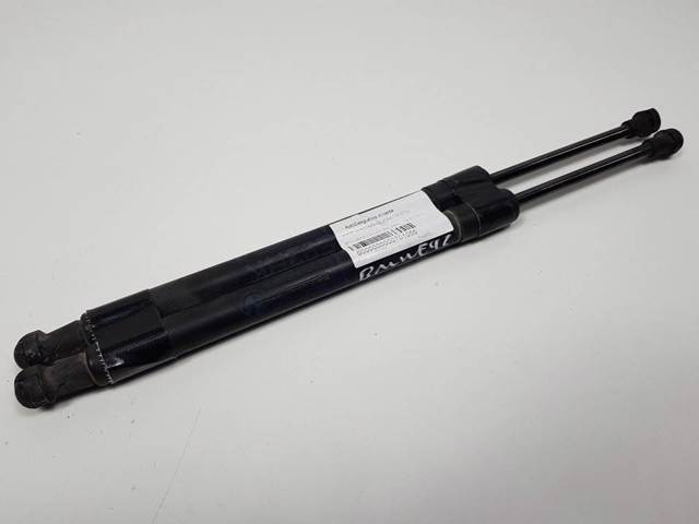 51247129194 BMW Амортизатор крышки багажника (двери 3/5-й задней) купить в Тернополь
